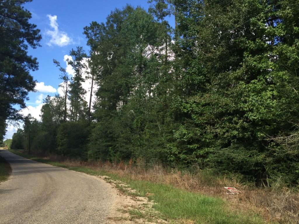 Lot 12 Dusty Road Franklinton, LA 70438 - Photo 1 of 1 Gallery Image 1