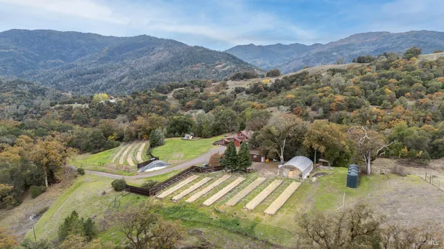 a view of a backyard with sitting area