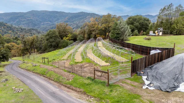 a view of outdoor space and yard