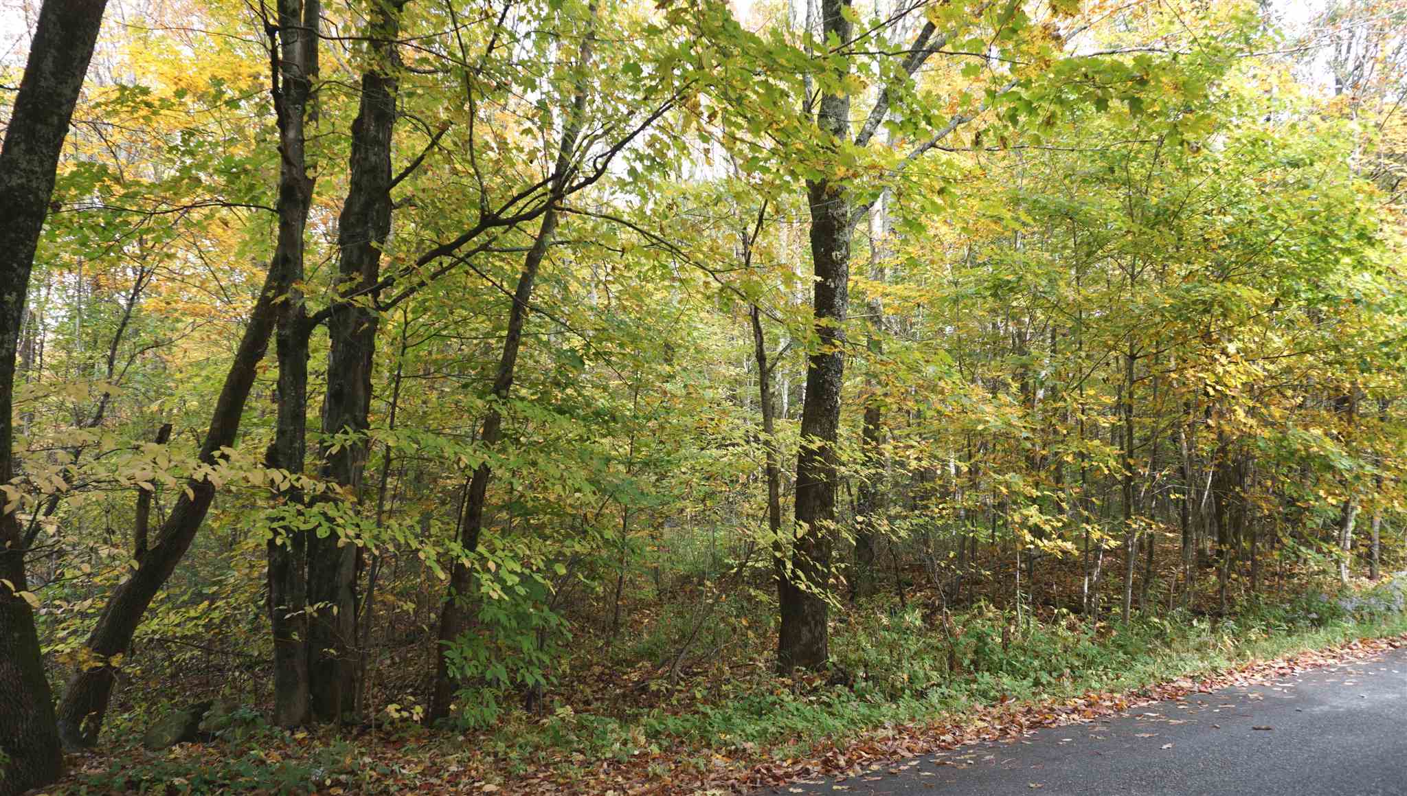 0 Ccc Road Shrewsbury, VT 05738 - Photo 1 of 9