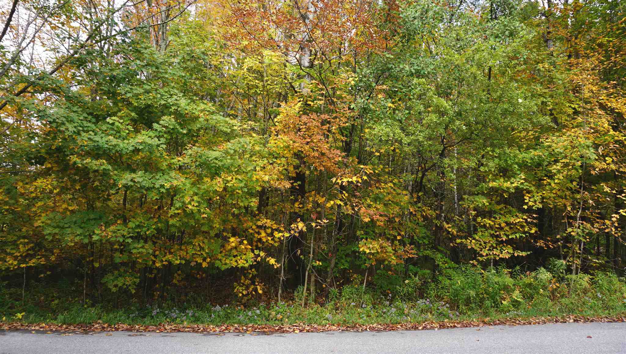 0 Ccc Road Shrewsbury, VT 05738 - Photo 3 of 9