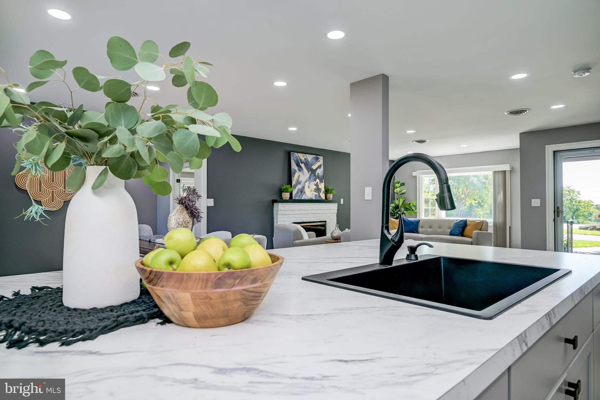 21020 Peach Tree Road Dickerson, MD 20842 - Photo 12 of 57 a view of living room with furniture and a potted plant