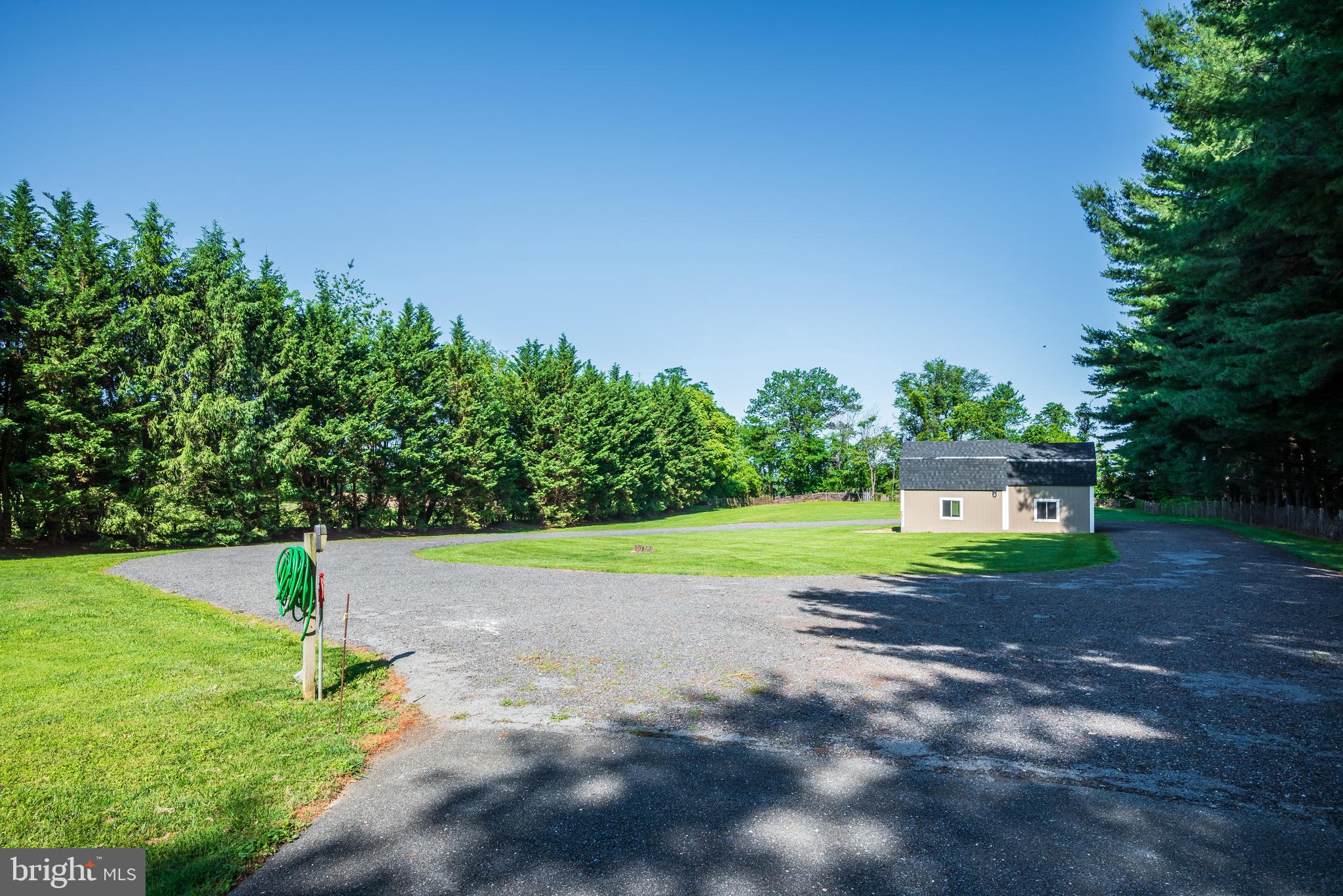 21020 Peach Tree Road Dickerson, MD 20842 - Photo 50 of 57 a view of a yard with plants and large trees