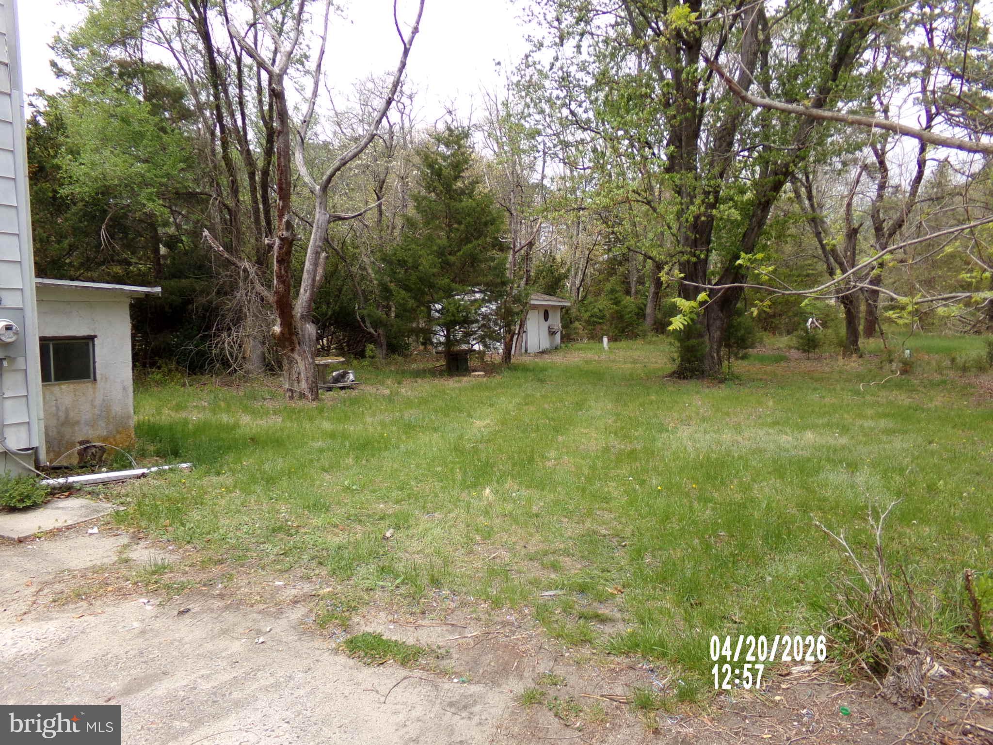 682 Jackson Road Atco, NJ 08004 - Photo 15 of 19 Serene green space awaits your vision.