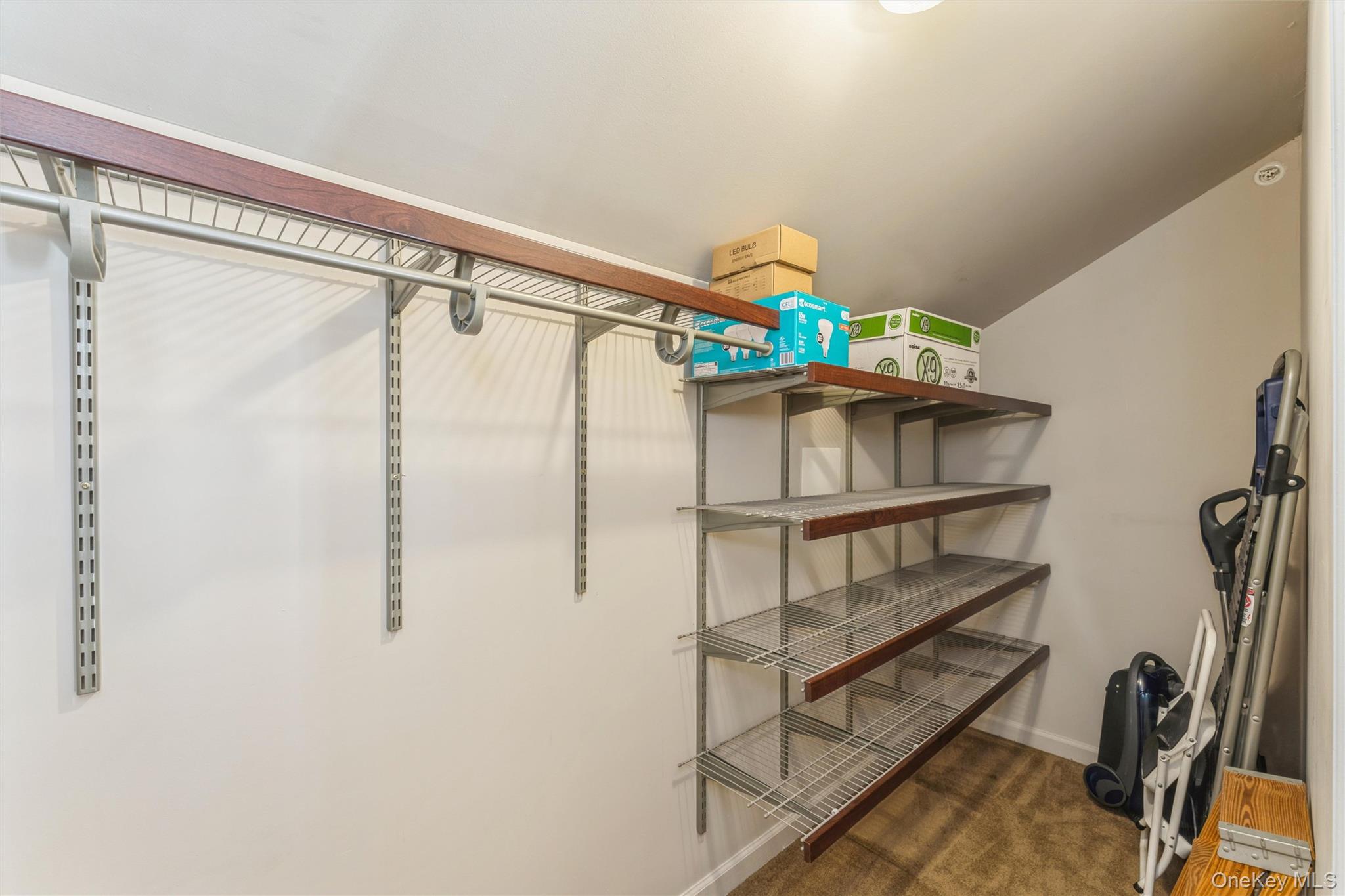 169 Spring Drive East Meadow, NY 11554 - Photo 11 of 33 a view of walk in closet