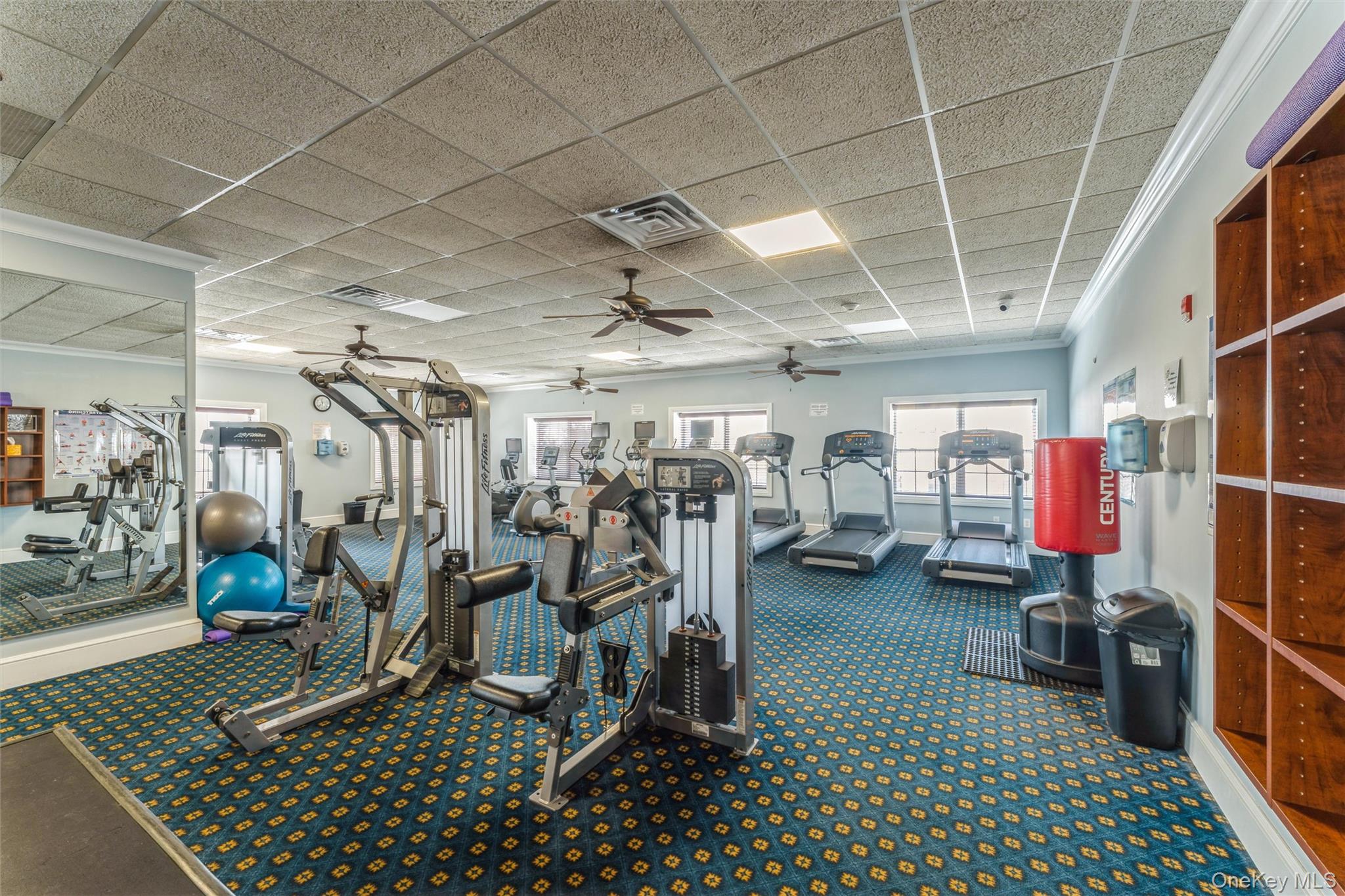 169 Spring Drive East Meadow, NY 11554 - Photo 25 of 33 a view of a room with gym equipment