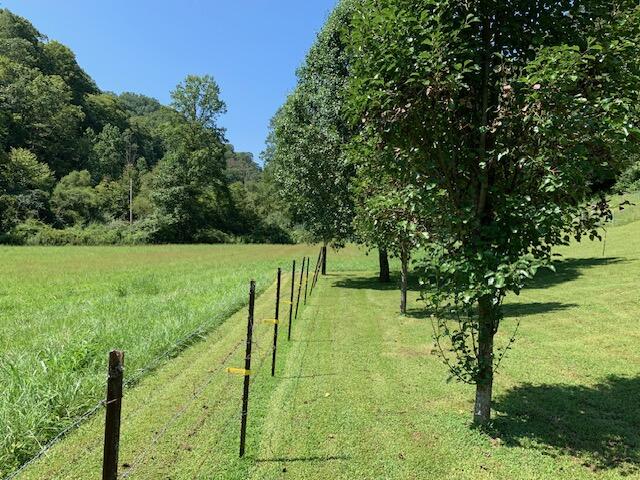598 Open Fork Road David, KY 41616 - Photo 21 of 40 IMG_6508