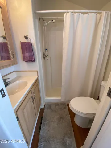 a bathroom with a sink a toilet a vanity and shower