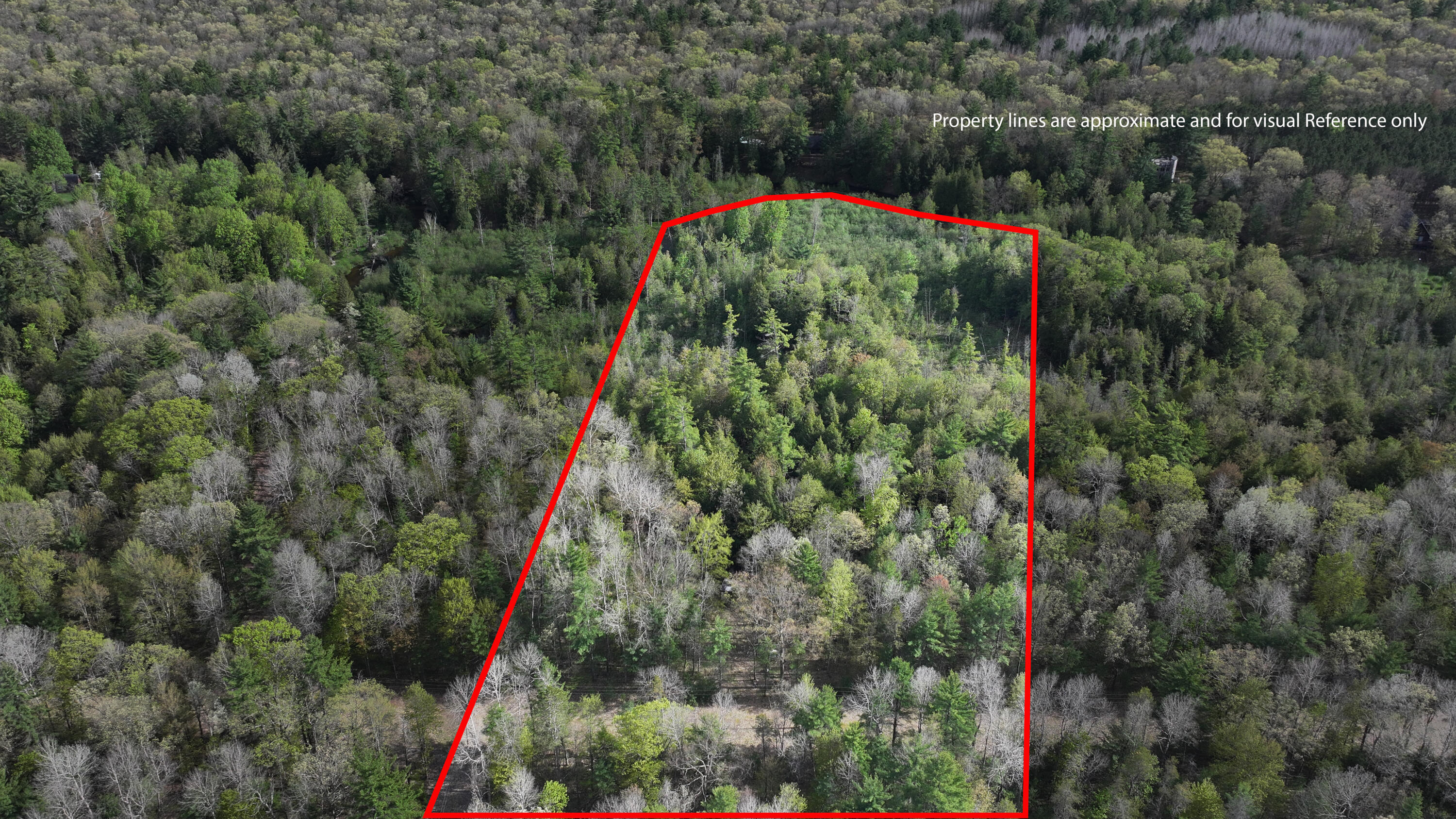 V/l West Pomeroy Springs Road Irons, MI 49644 - Photo 27 of 27 Partial Property lines