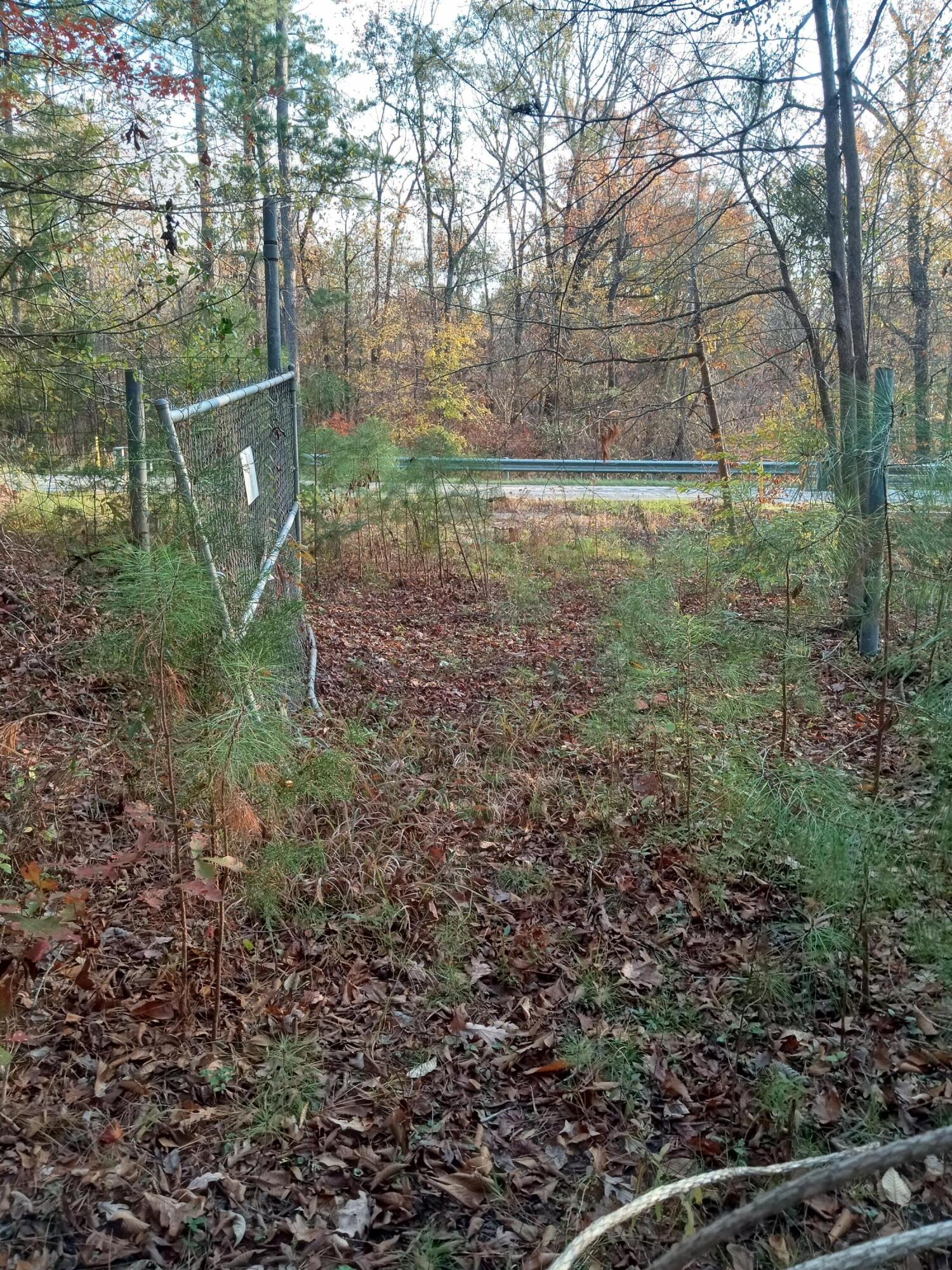 2722 Highway 23 Modoc, SC 29838 - Photo 42 of 57