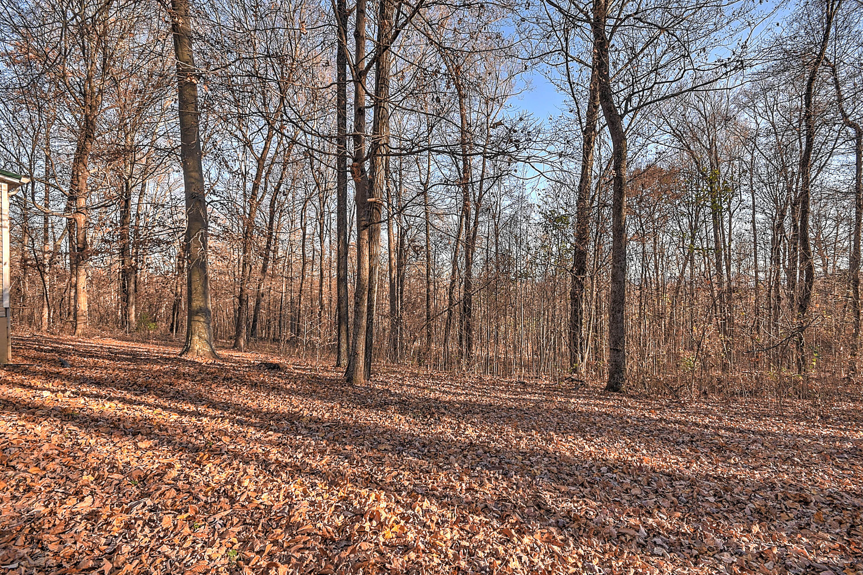 412 Payne Ridge Road Church Hill, TN 37642 - Photo 86 of 89 Payne Ridge-23