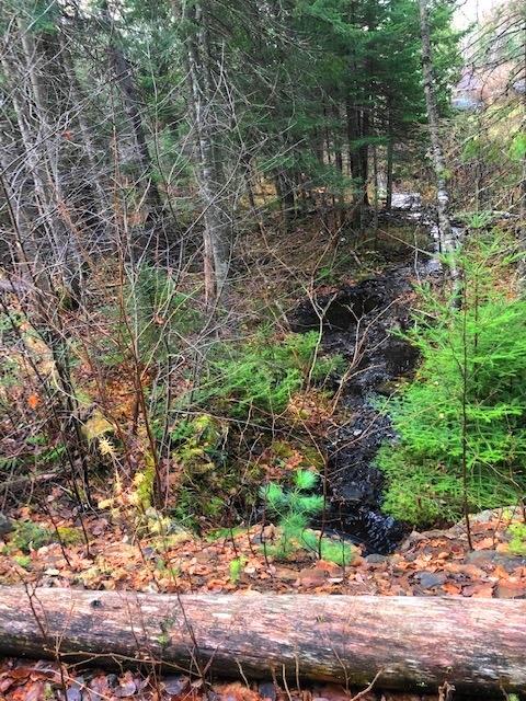 0 Targett Road Rangeley, ME 04970 - Photo 3 of 20 Brook