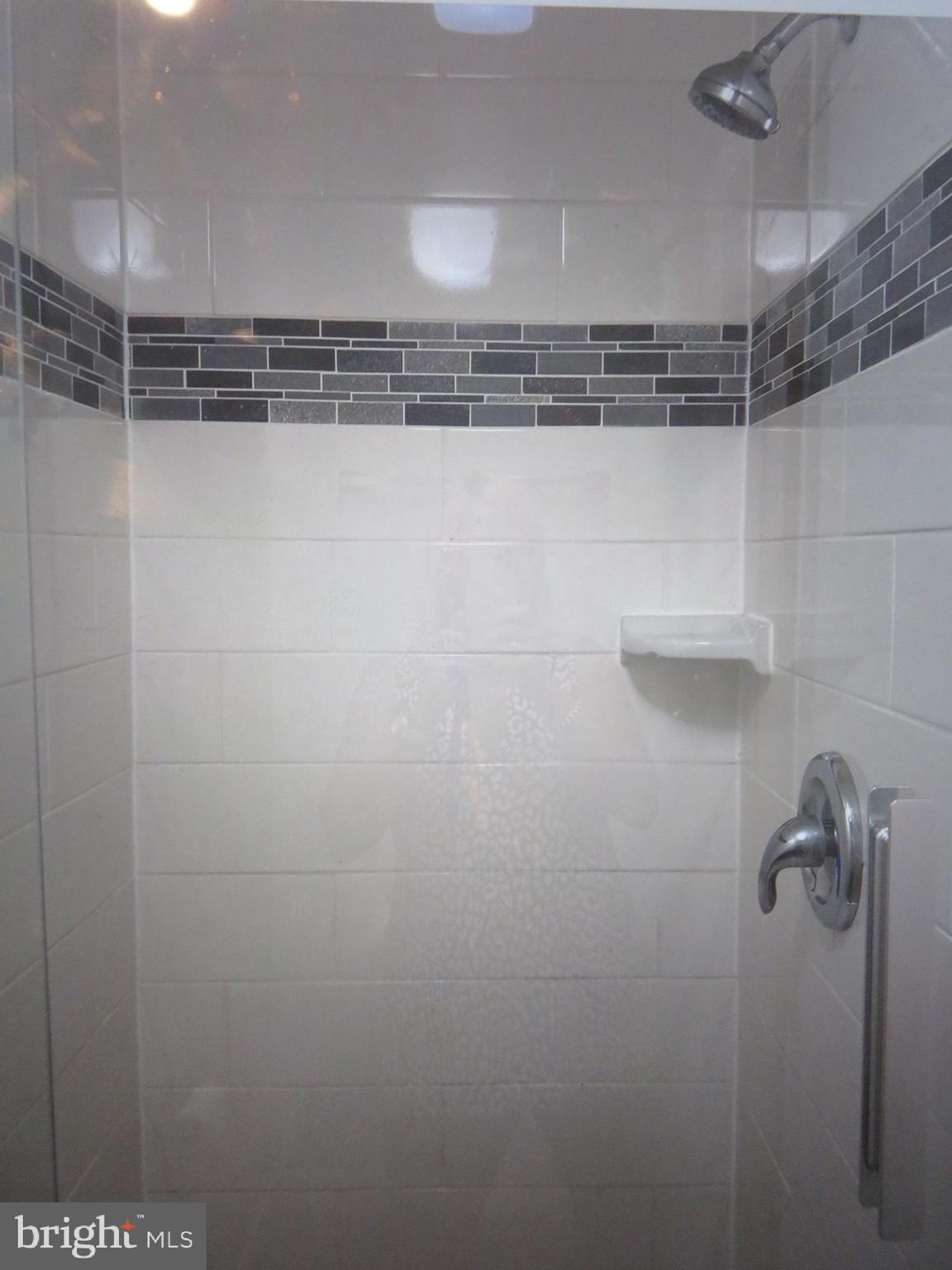2 Cross Keys Road, Unit 2E Baltimore, MD 21210 - Photo 14 of 19 New shower in Primary bath