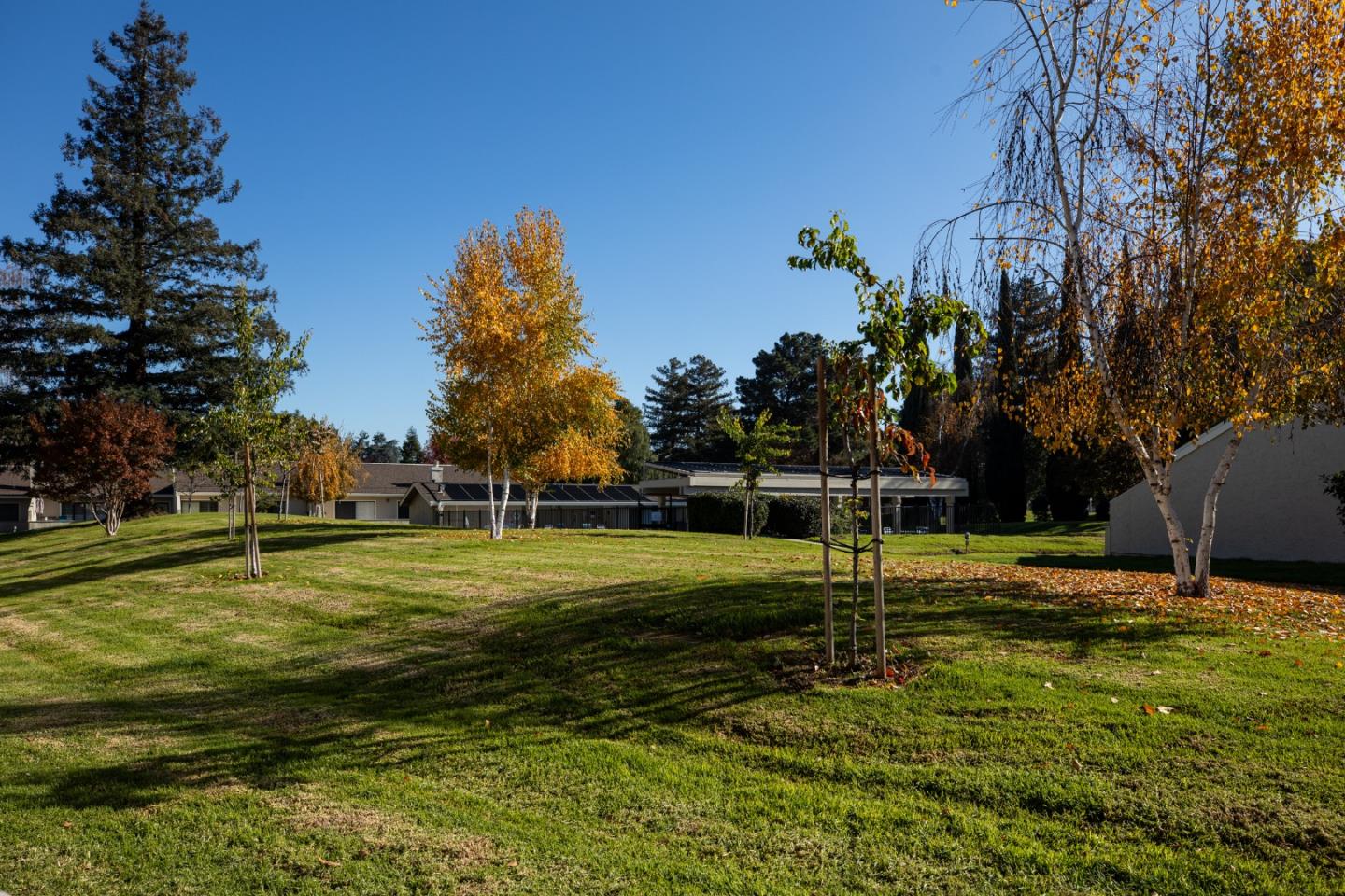 2464 Golf Links Circle Santa Clara, CA 95050 - Photo 33 of 45 a view of a park with swings and slides