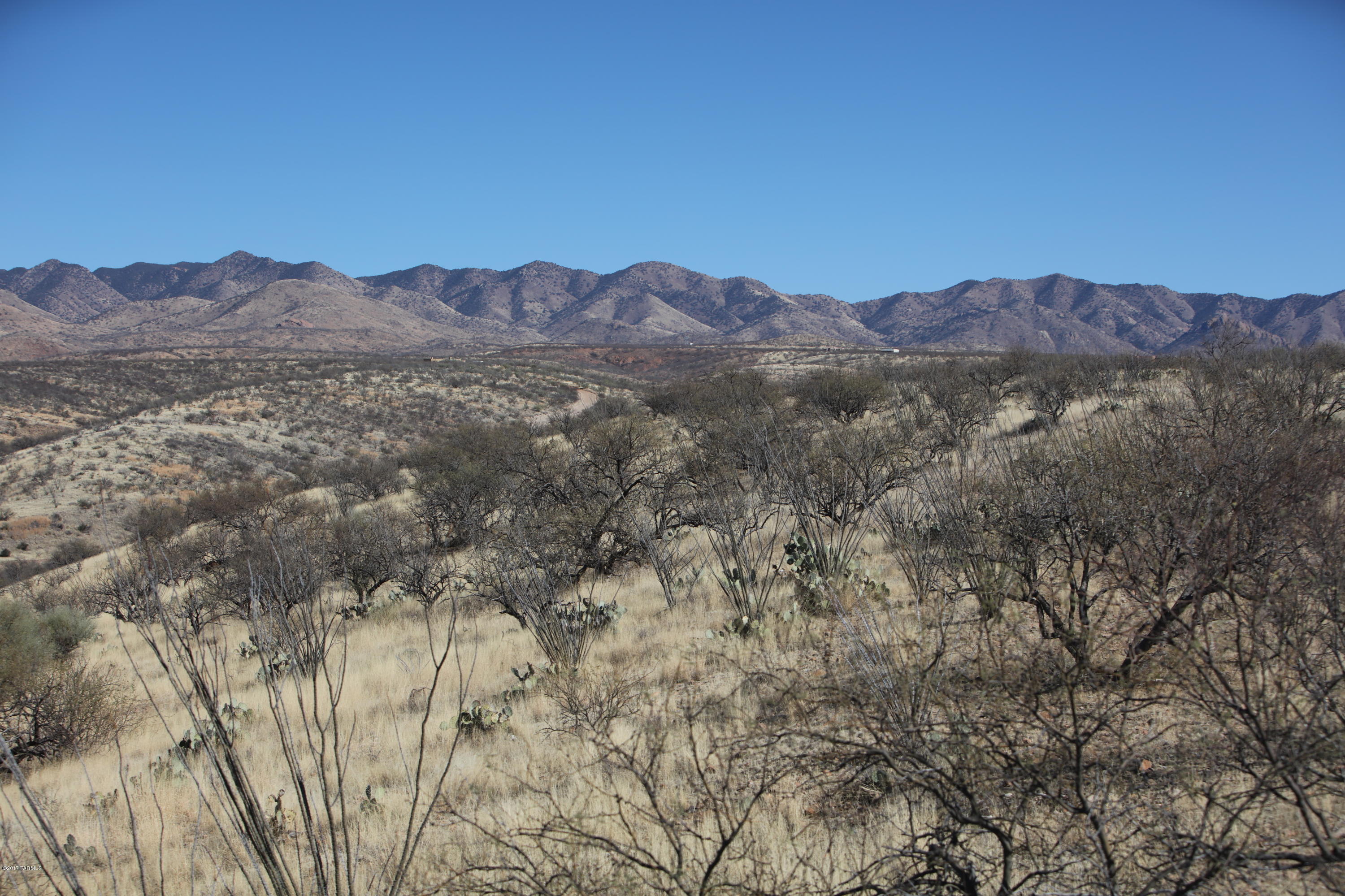 336 Camino Kennedy Rio Rico, AZ 85648 - Photo 11 of 29