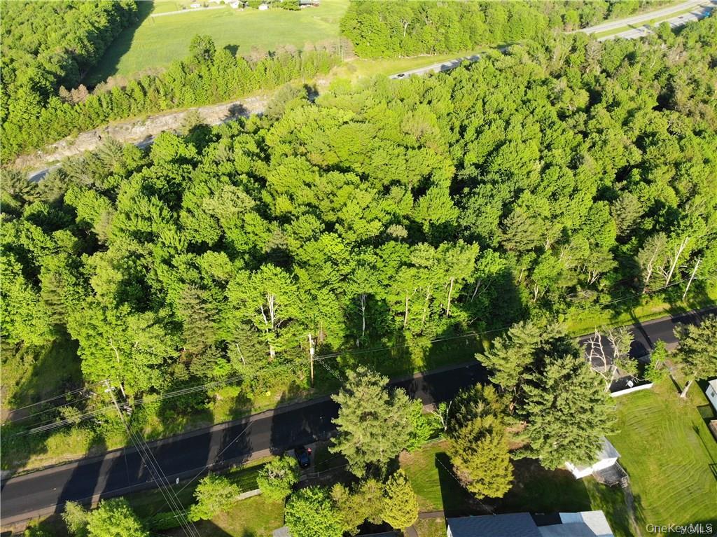 Lot 5.4 Kaufman Road Monticello, NY 12701 - Photo 23 of 45