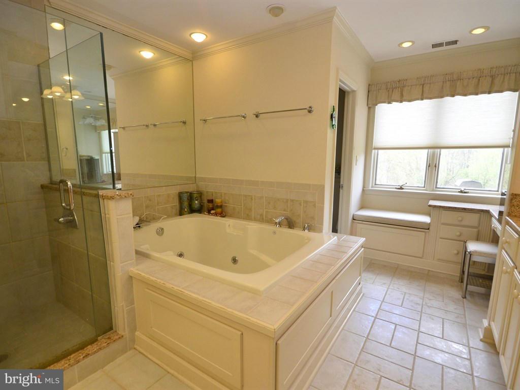 13210 River Road Potomac, MD 20854 - Photo 21 of 30 Bath (Master)