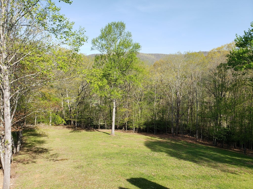 71 Rugby Road Mouth Of Wilson, VA 24363 - Photo 8 of 62 Gallery Image 8