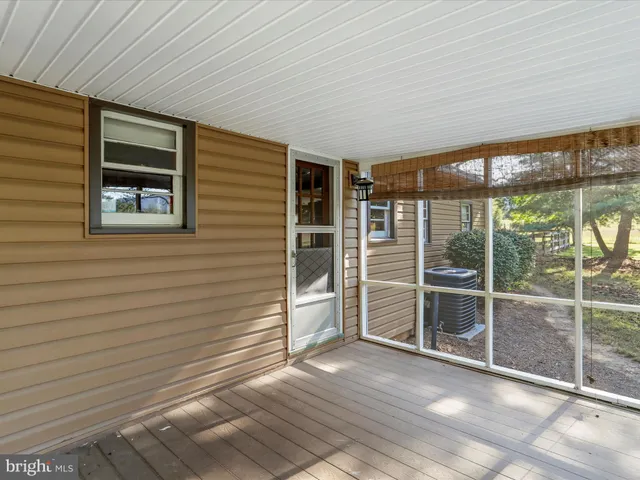 a view of a tree in a yard