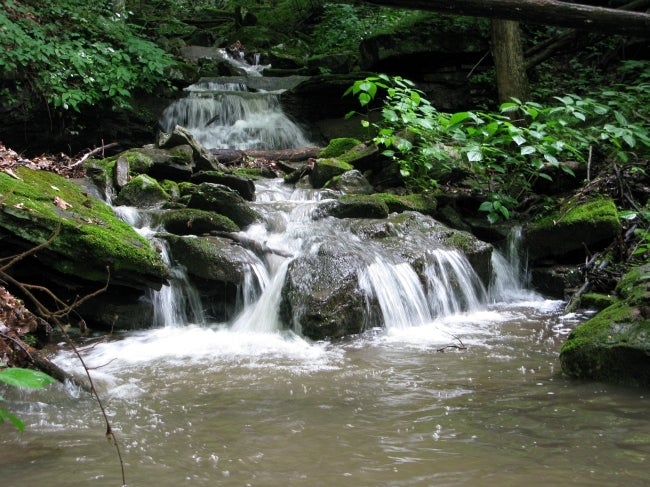 104 River Road Hinton, WV 25951 - Photo 2 of 38 Sylvan Falls -1