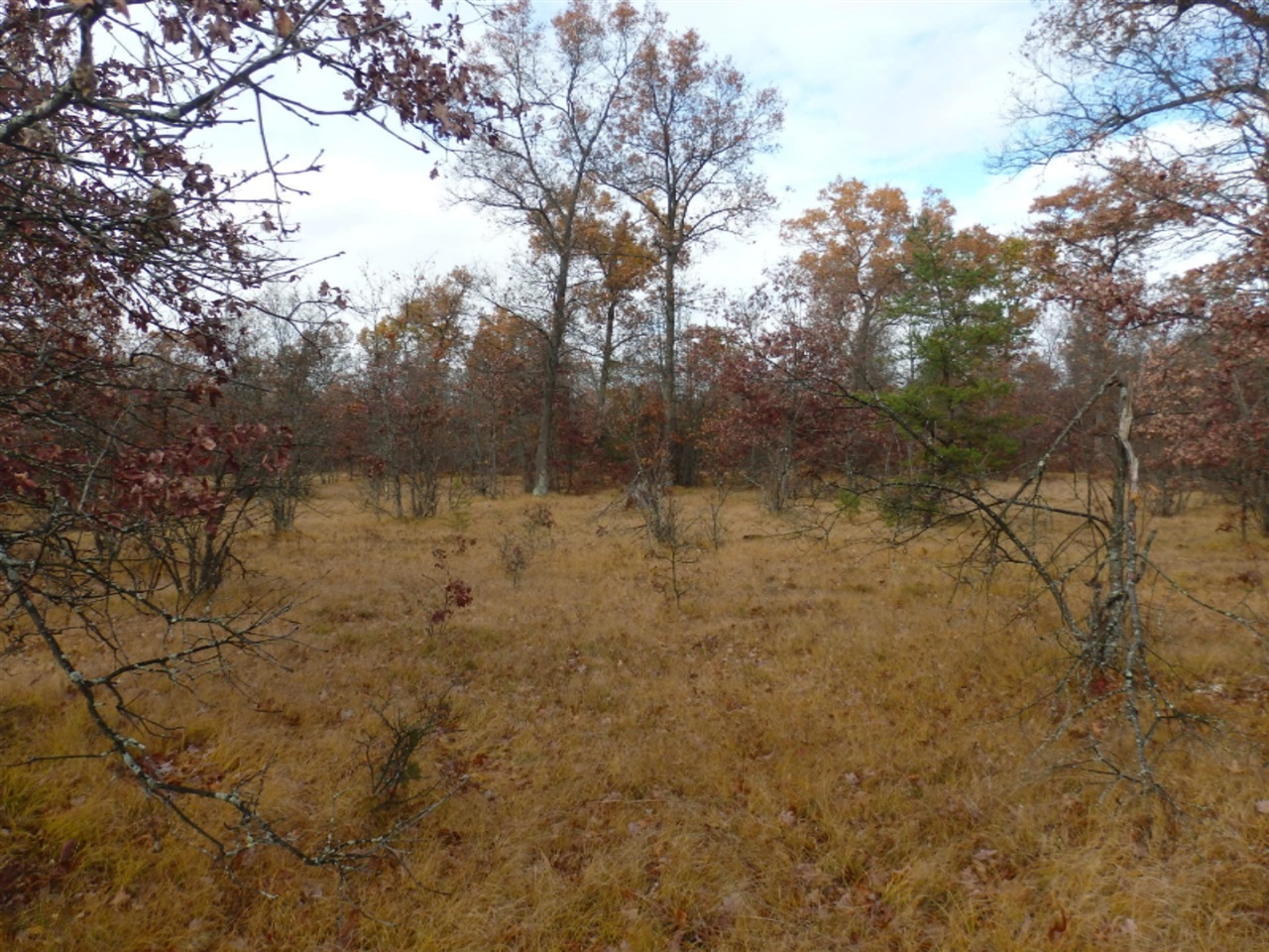 Custer Road Manistee, MI 49660 - Photo 8 of 12