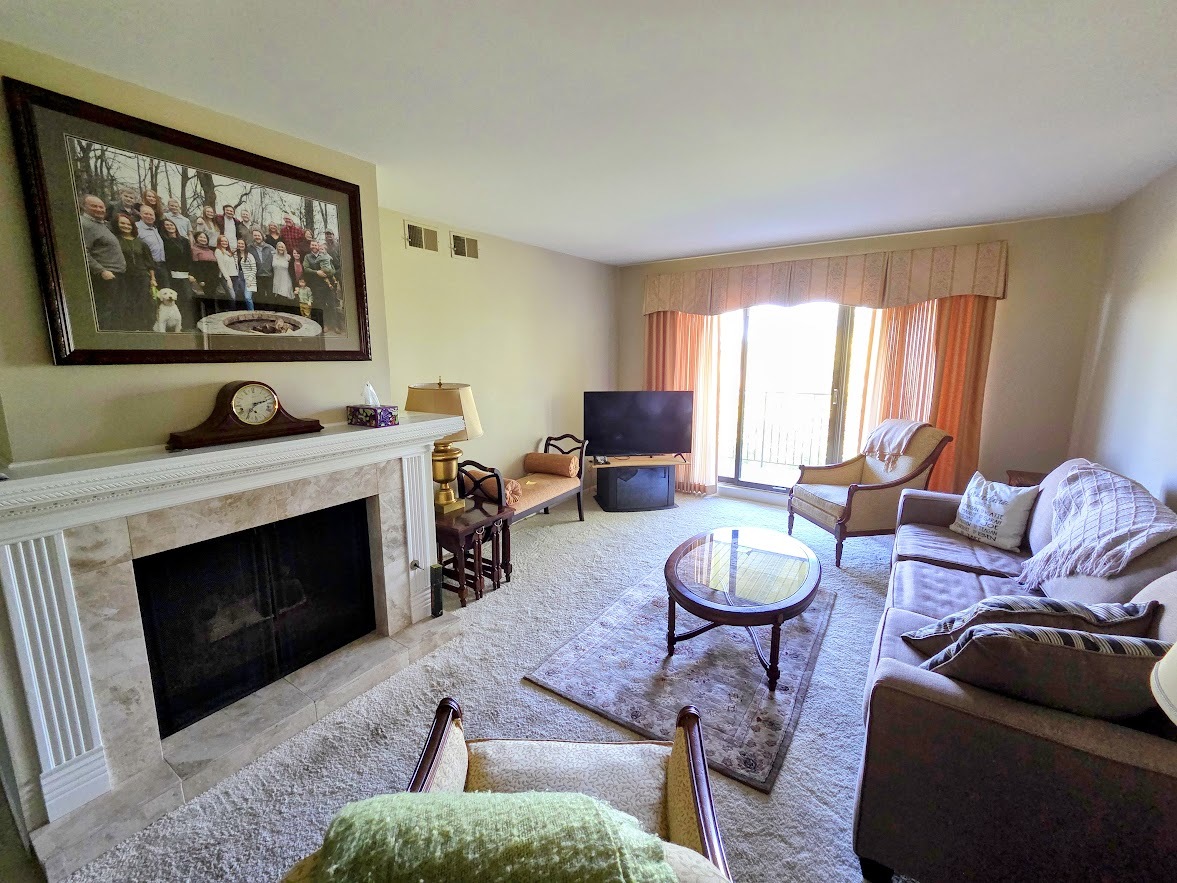 1-s150 Spring Road, Unit 5B Oak Brook, IL 60181 - Photo 5 of 14 a living room with furniture a rug and a fireplace