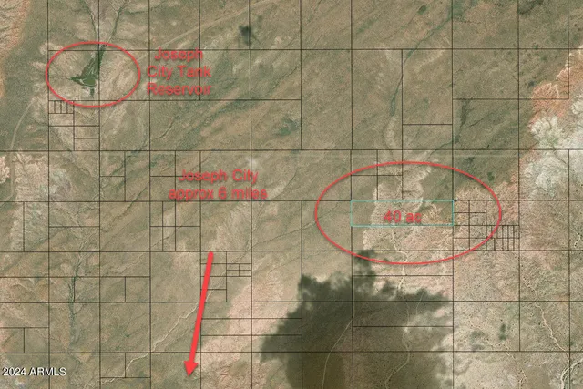 a bathroom with a sink and a shower