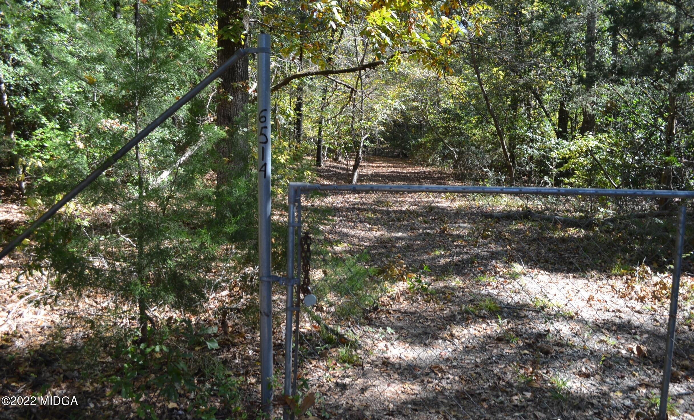 6514 Barfield Road Macon, GA 31216 - Photo 1 of 20 a view of a forest with trees