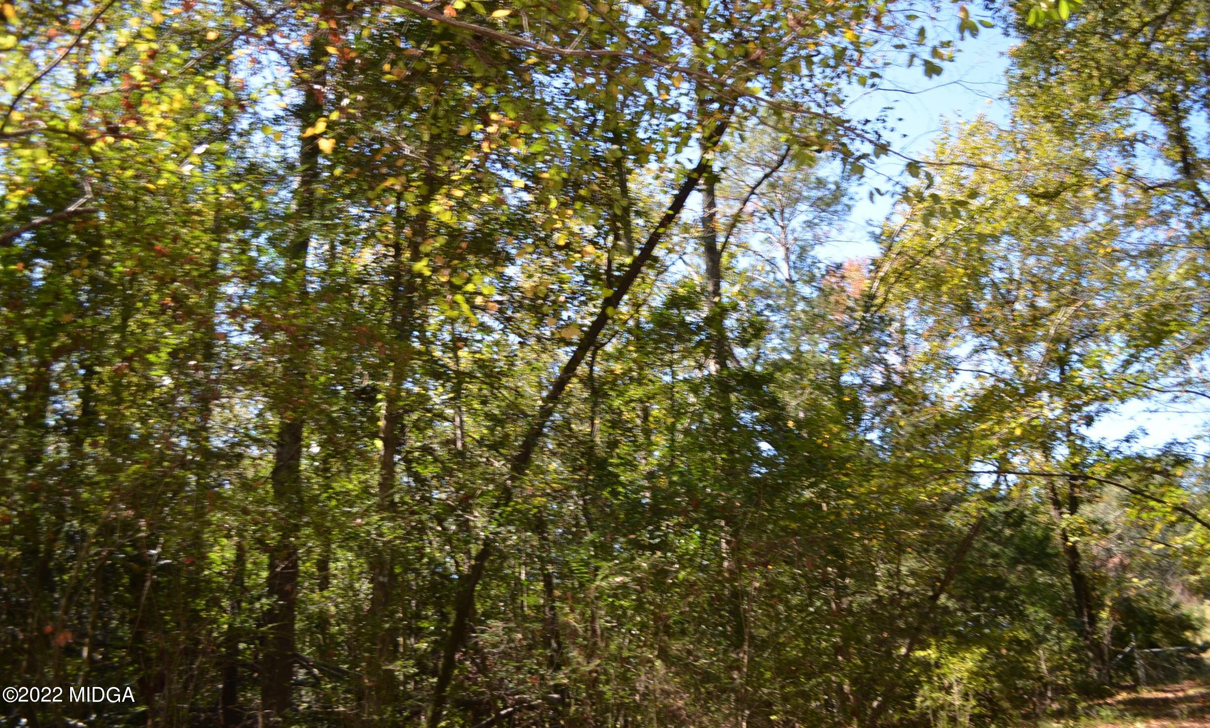 6514 Barfield Road Macon, GA 31216 - Photo 13 of 20 a view of a tree
