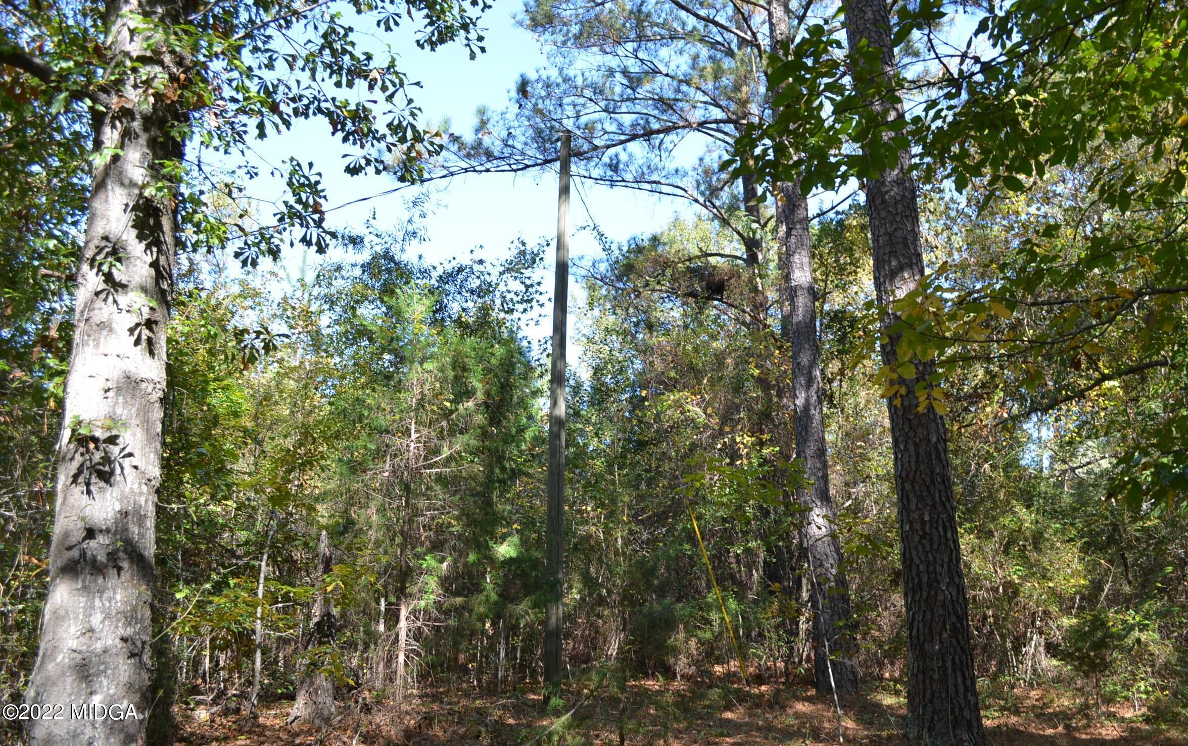 6514 Barfield Road Macon, GA 31216 - Photo 15 of 20 a backyard of a house with lots of trees
