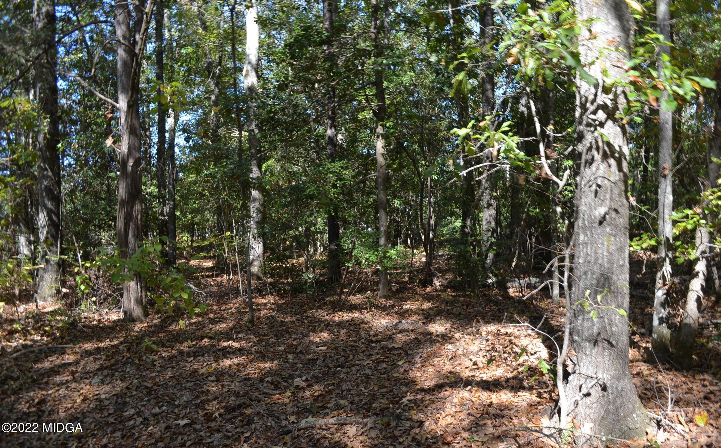 6514 Barfield Road Macon, GA 31216 - Photo 17 of 20 a view of tree
