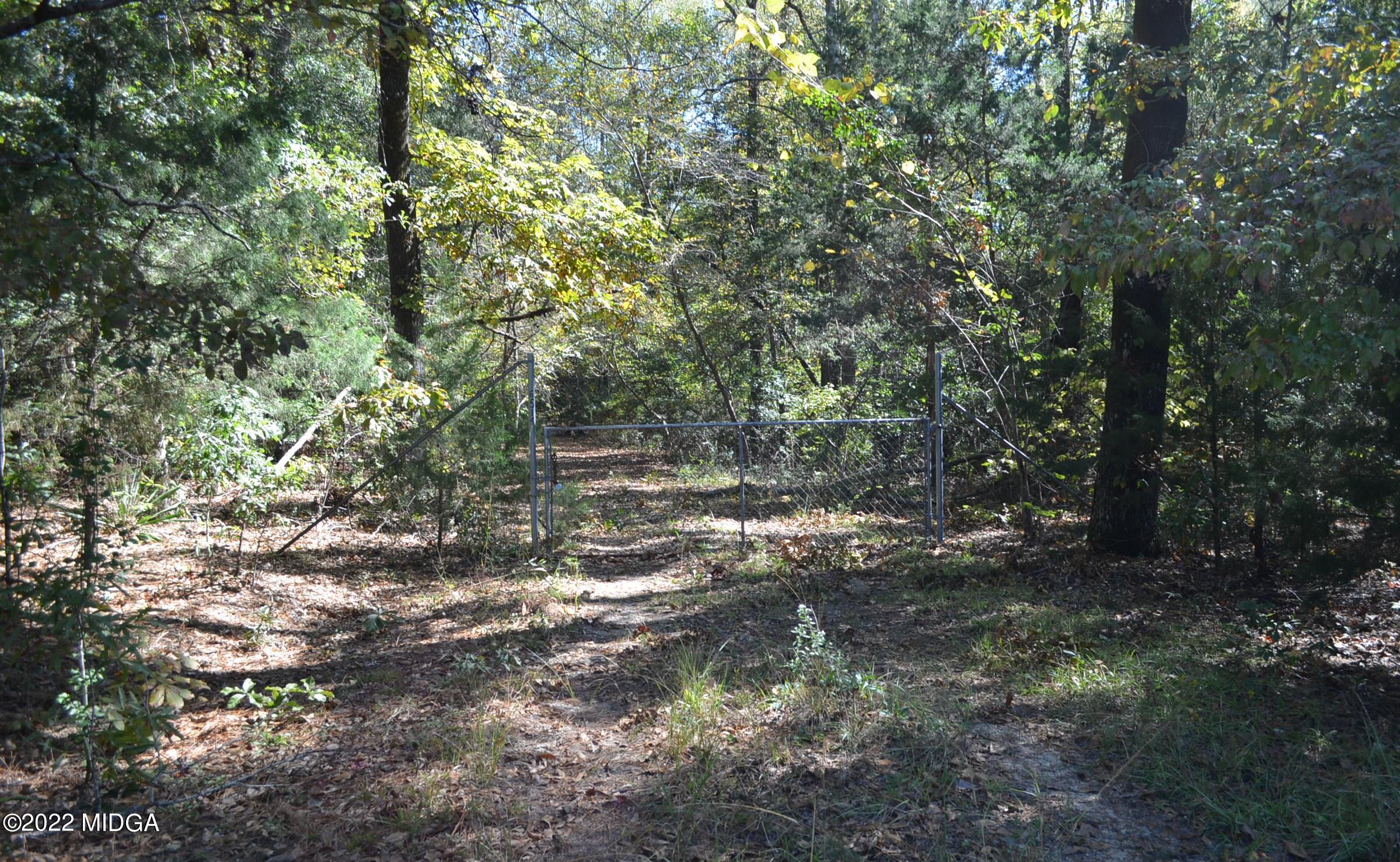 6514 Barfield Road Macon, GA 31216 - Photo 19 of 20 a view of forest