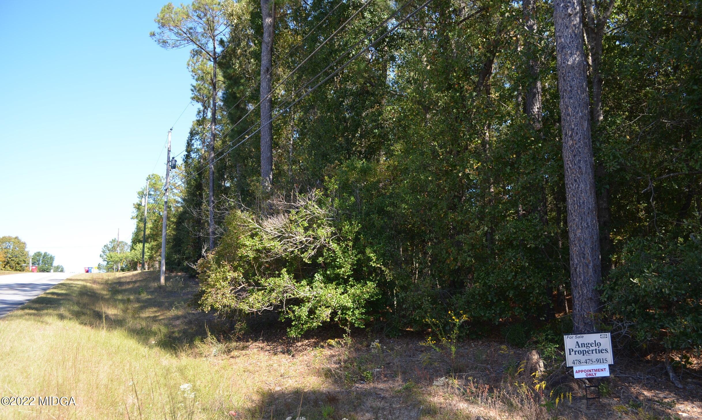 6514 Barfield Road Macon, GA 31216 - Photo 20 of 20 a view of a lake with large trees