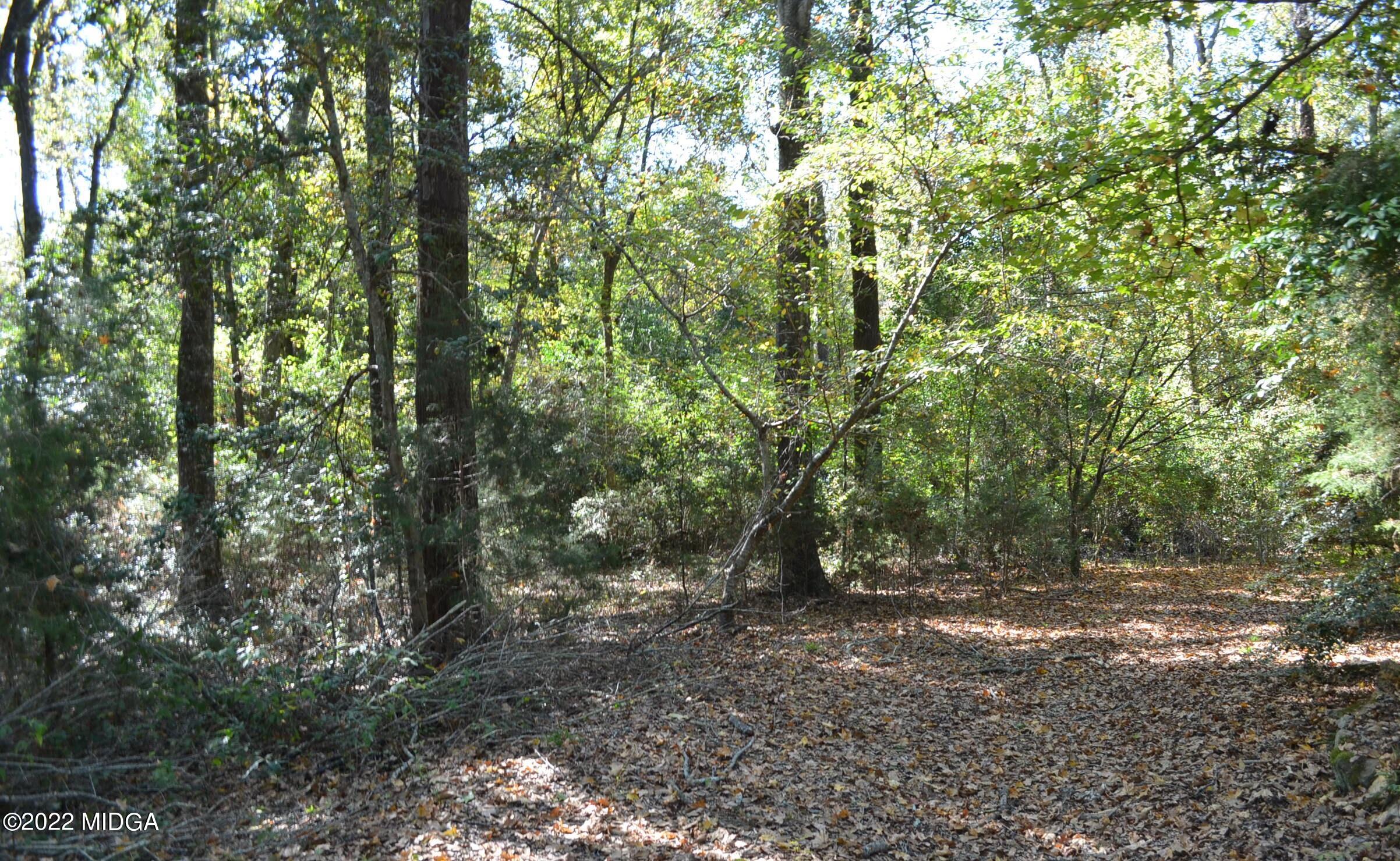 6514 Barfield Road Macon, GA 31216 - Photo 5 of 20 a view of outdoor space and trees