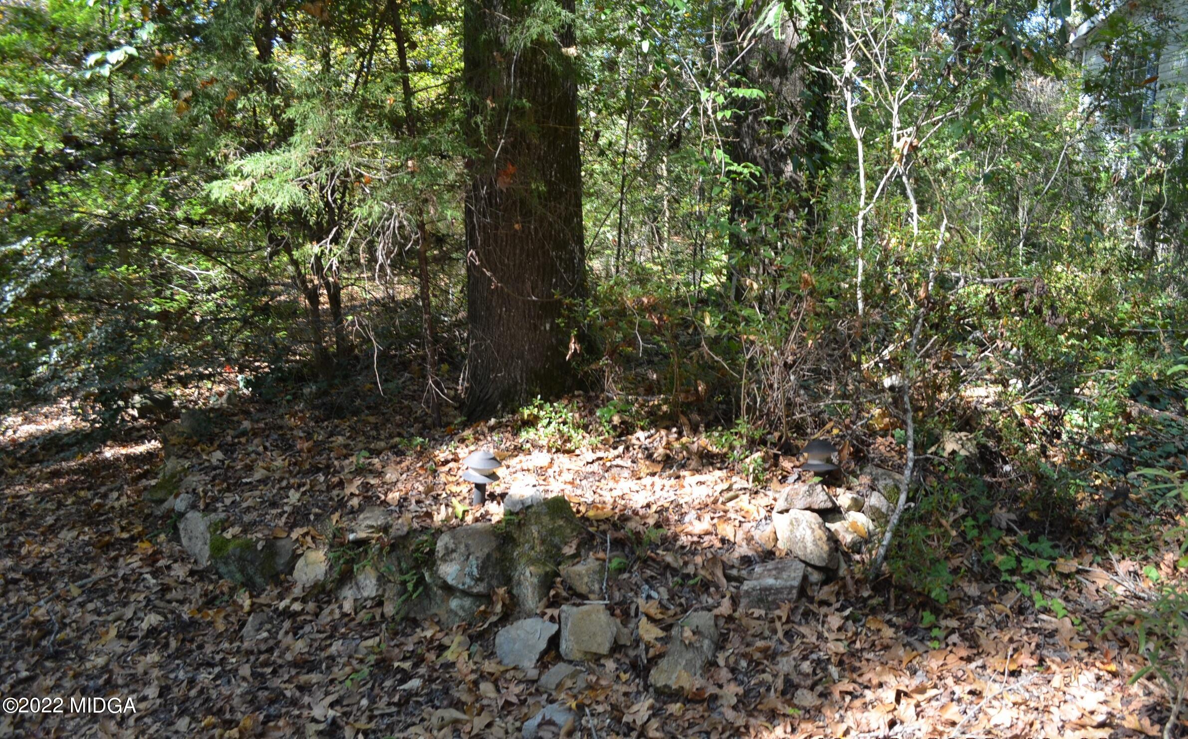 6514 Barfield Road Macon, GA 31216 - Photo 6 of 20 a view of a tree in a yard
