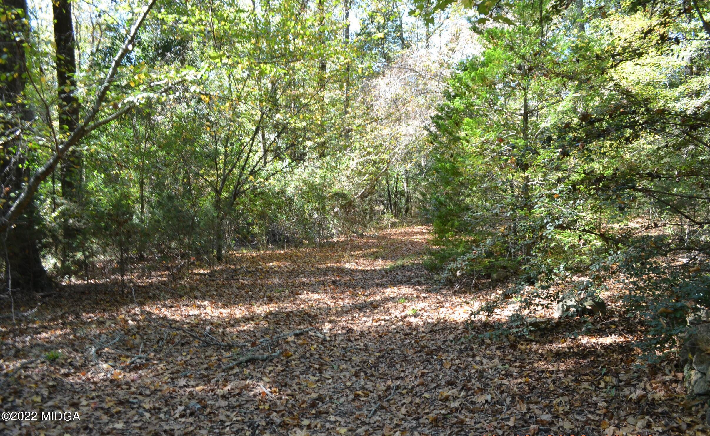 6514 Barfield Road Macon, GA 31216 - Photo 7 of 20 a view of a yard with a tree