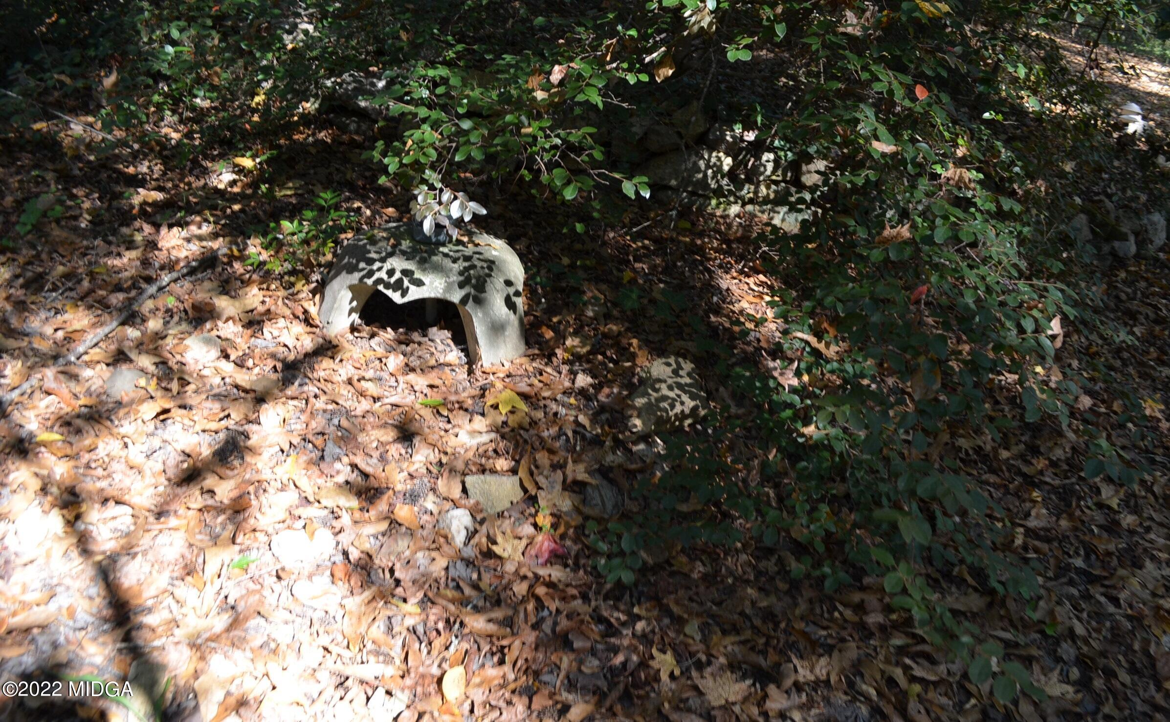 6514 Barfield Road Macon, GA 31216 - Photo 8 of 20 a picture of tree