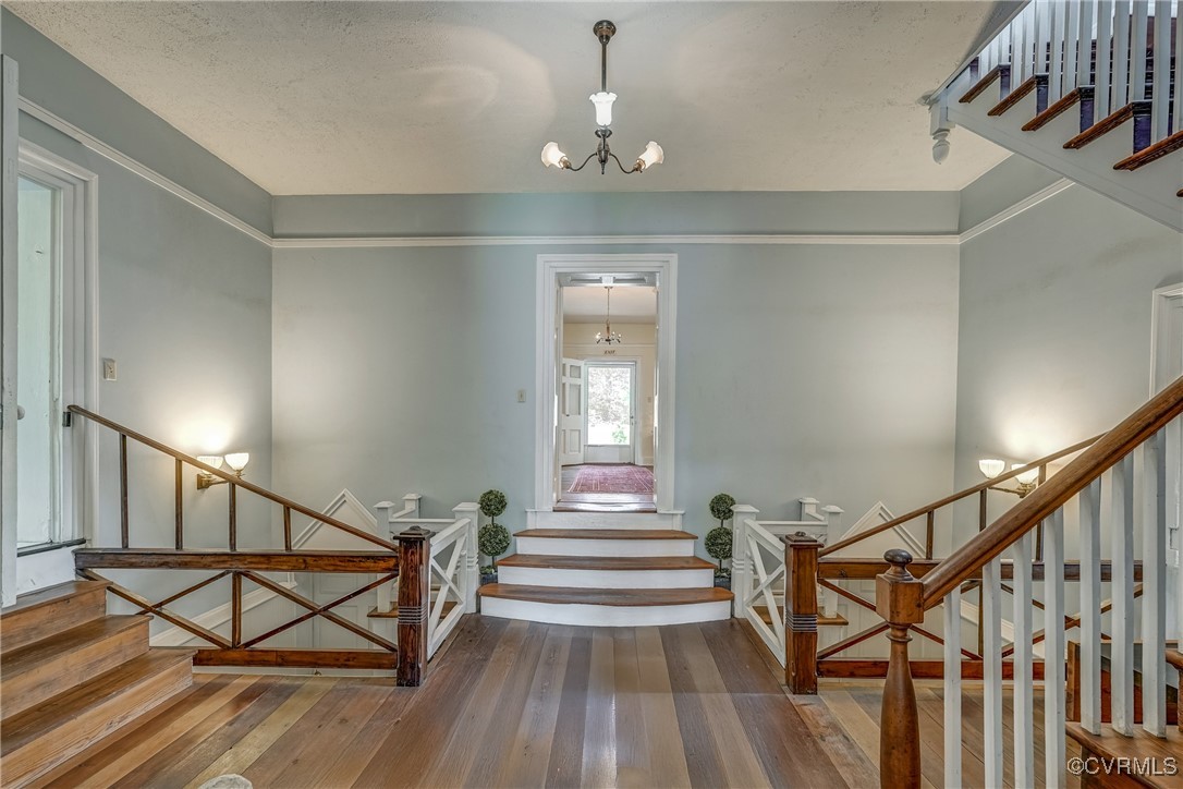 23 Courthouse Road Buckingham, VA 23921 - Photo 16 of 50 a view of entryway and hall with wooden floor