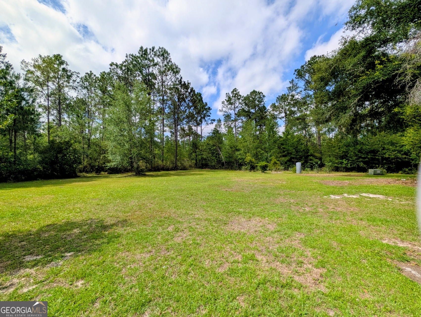 1085 Conaway McDonald Road Tarrytown, GA 30470 - Photo 8 of 35