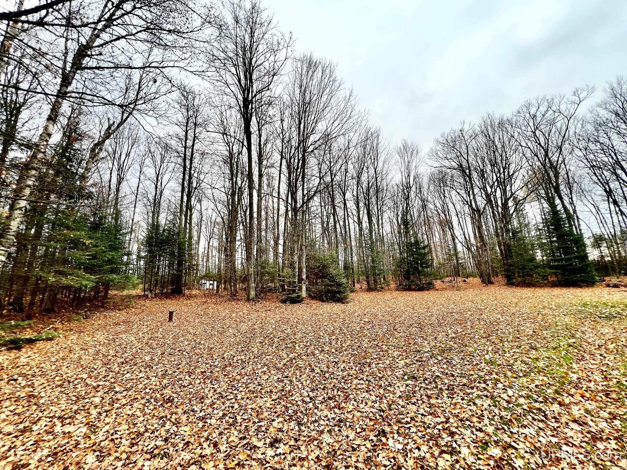 W8487 Leeman Road Sagola, MI 49881 - Photo 6 of 28