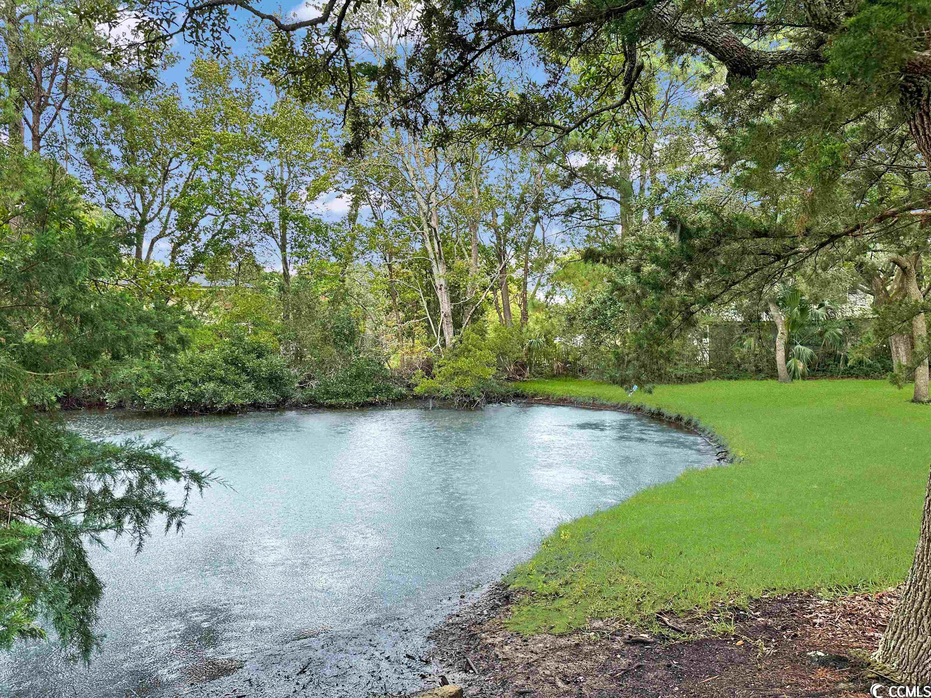 417 Vereen Road Murrells Inlet, SC 29576 - Photo 5 of 13