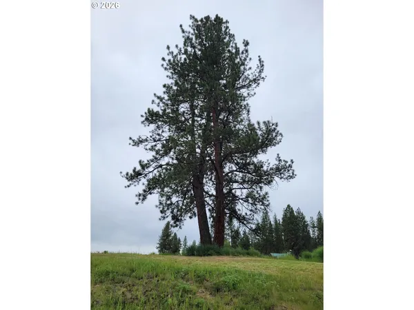 $180,000 | 0 Coombs Loop, La Grande, OR 97850