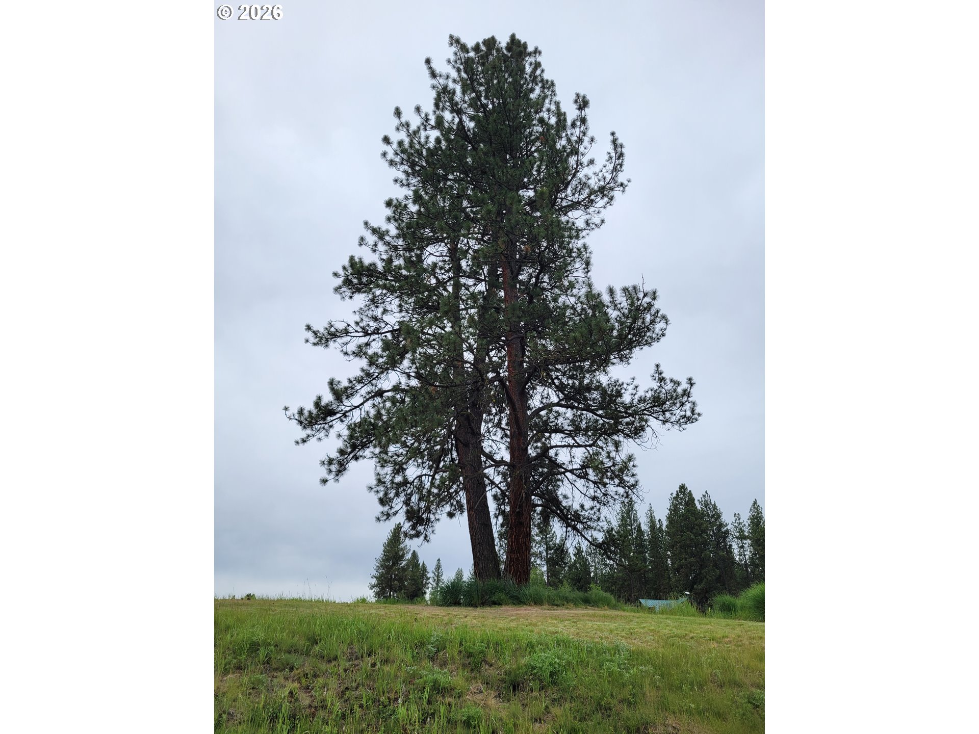 0 Coombs Loop La Grande, OR 97850 - Photo 1 of 14