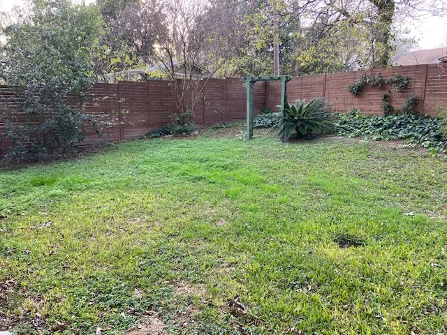 a view of a backyard