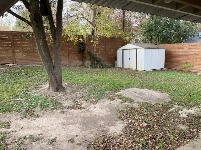 a view of a barn with a yard and a large tree