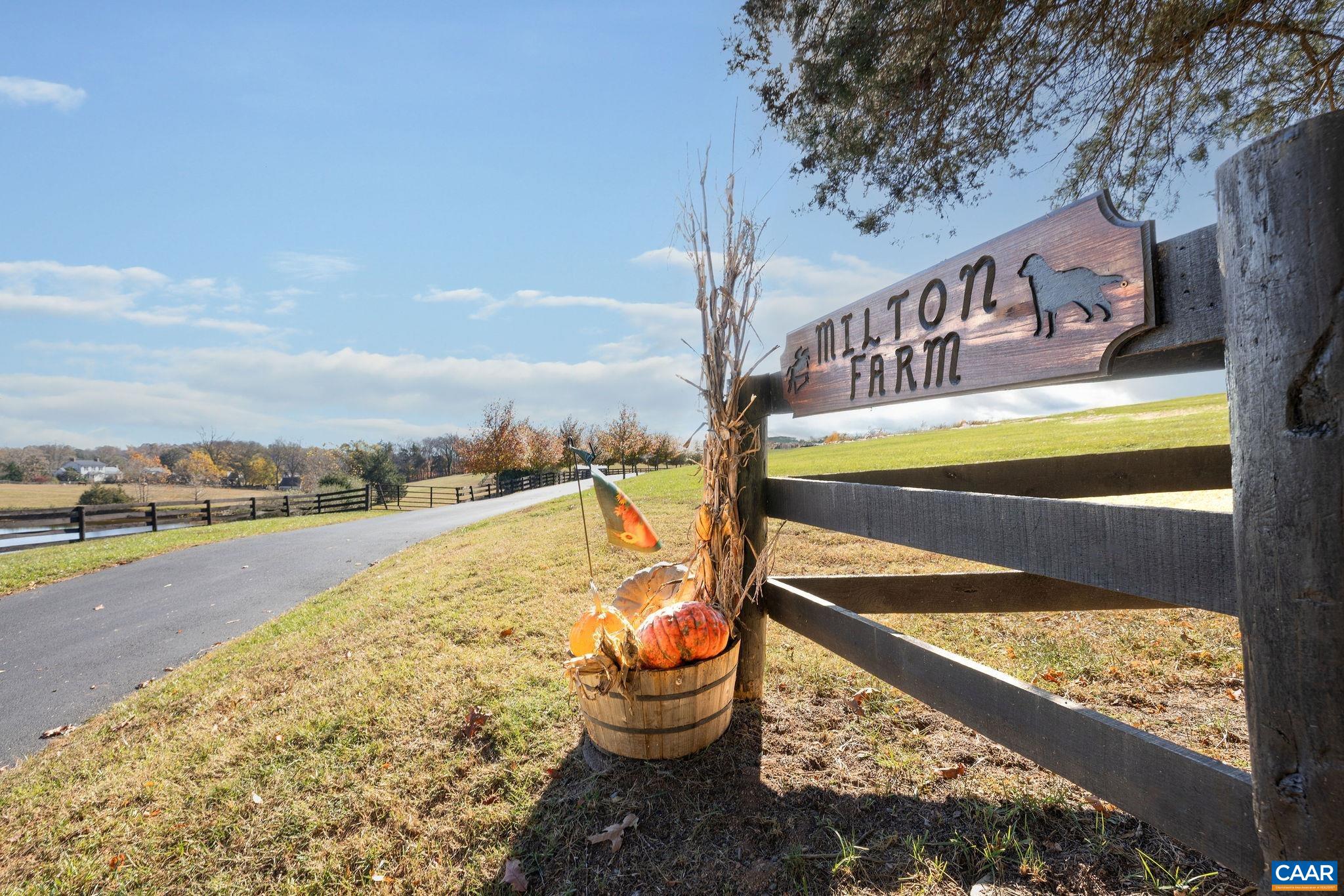 2687 Milton Farm Charlottesville, VA 22902 - Photo 8 of 75 a view of swimming pool with a lounge chair
