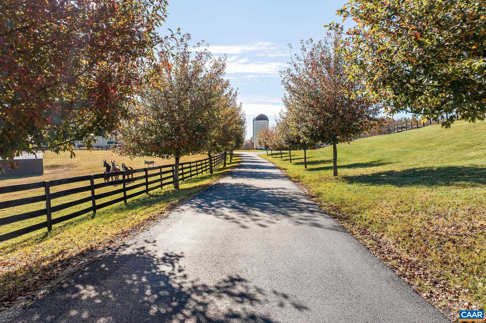 2687 Milton Farm Charlottesville, VA 22902 - Photo 10 of 75 a view of a yard with wooden fence
