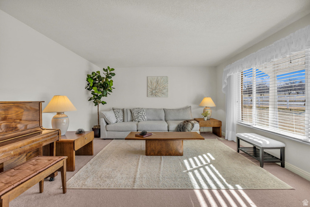 1060 West 2620th Street South Mapleton, UT 84664 - Photo 8 of 87