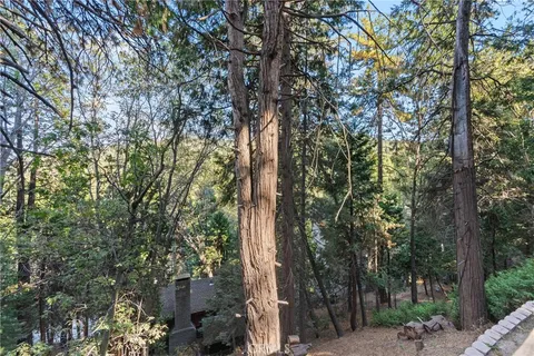 a view of forest