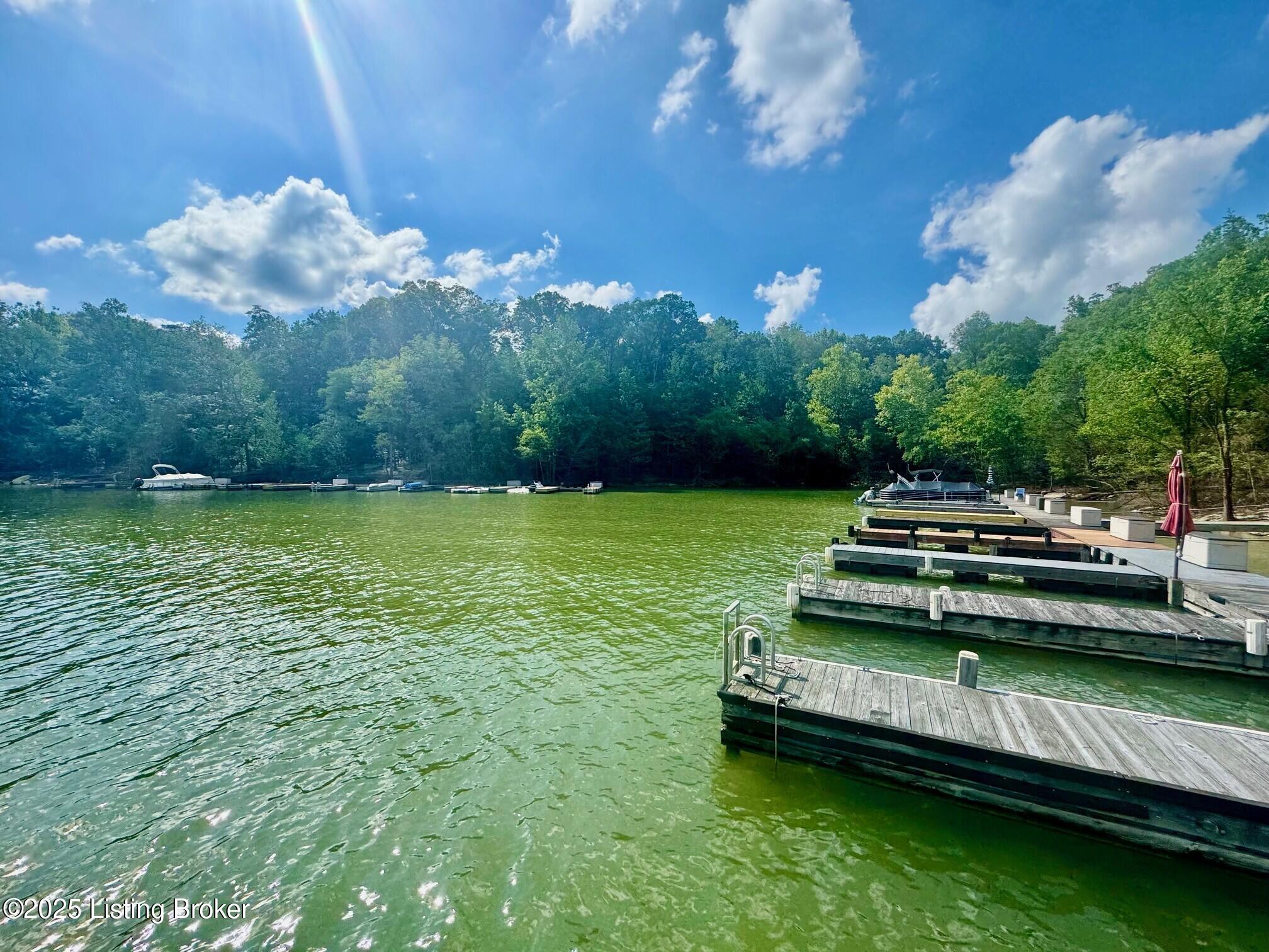 171 Cedar Point Road Bee Spring, KY 42207 - Photo 24 of 42 Nice private cove slightly off the main water